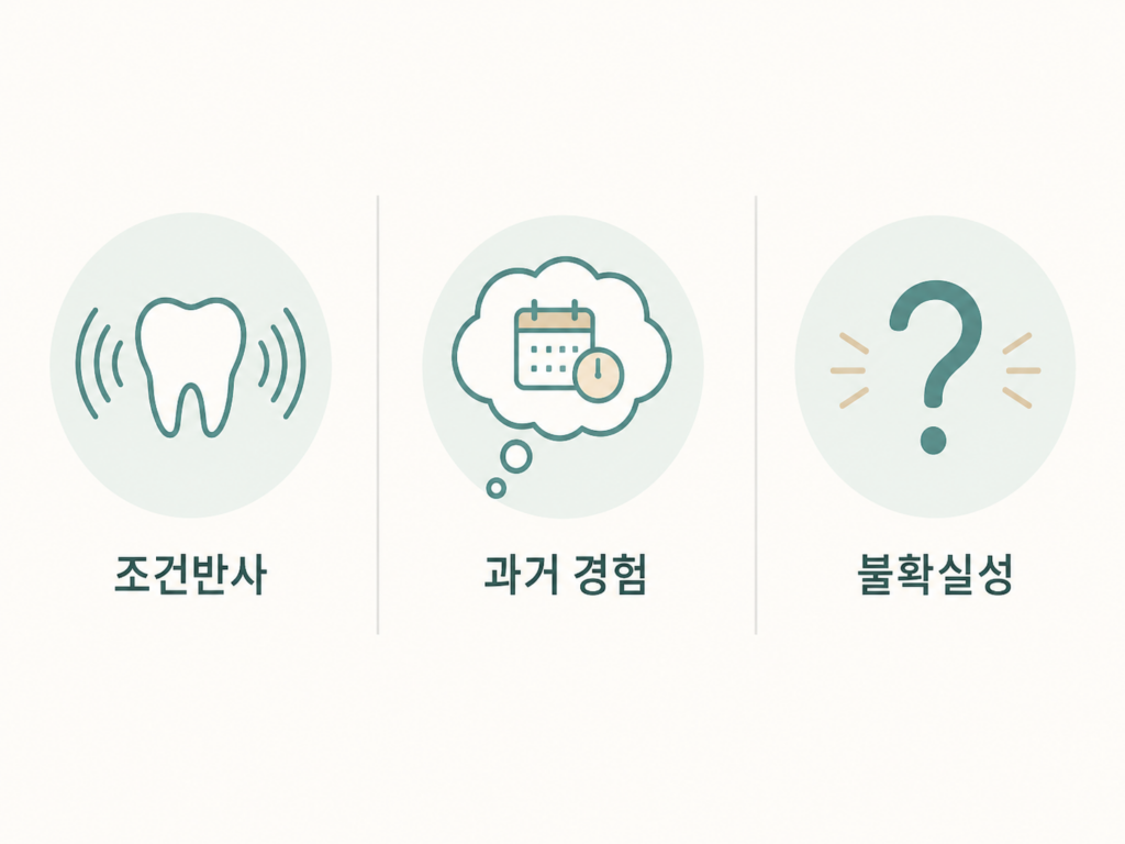 치과 공포증 3가지 유형 조건반사형 경험기반형 불확실성형