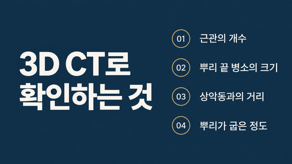 3D CT로 확인한 어금니 근관 개수와 치근단 병소 — 바른모양치과는 신경치료 전 CT로 숨은 근관과 상악동 근접도를 확인합니다